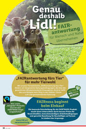 Lidl Flugblatt woche 5 Seite 40