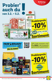 Lidl Flugblatt woche 5 Seite 41