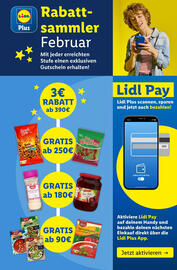 Lidl Flugblatt woche 5 Seite 45