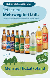 Lidl Flugblatt woche 5 Seite 46