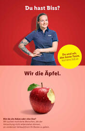 Lidl Flugblatt woche 5 Seite 47