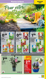 Catalogue Lidl semaine 5 page 33