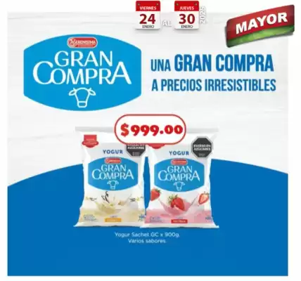 Catálogo Supermercados Mayor (válido hasta 9-02)