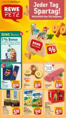 REWE PETZ Prospekt (gültig bis 2-02)