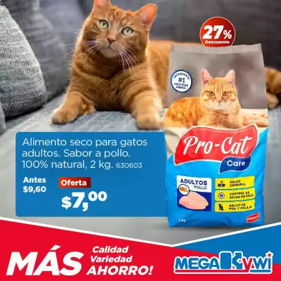 Catálogo Mega Kywi (válido hasta 31-01)