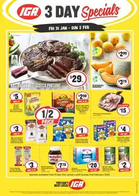 IGA catalogue (valid until 2-02)