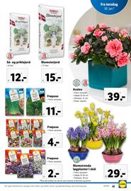 Lidl tilbudsavis Side 11