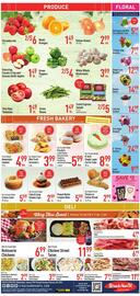 Strack & Van Til Weekly Ad week 5 Page 8