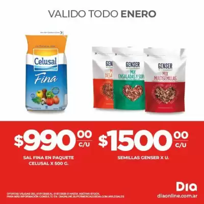 Catálogo Supermercados DIA (válido hasta 31-01)