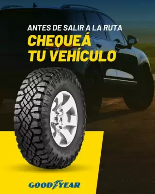 Catálogo Goodyear (válido hasta 16-02)