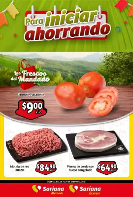 Catálogo Soriana Mercado (válido hasta 30-01)