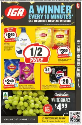 IGA catalogue (valid until 4-02)