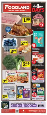 Foodland flyer (valid until 5-02)