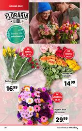 Catalog Lidl săptămâna 6 Pagină 50