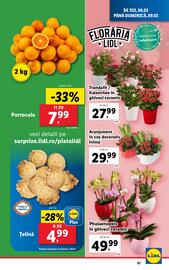 Catalog Lidl săptămâna 6 Pagină 61