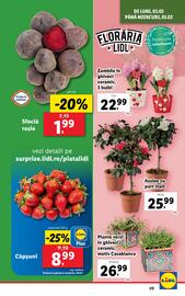 Catalog Lidl săptămâna 6 Pagină 9