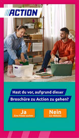 Action Prospekt woche 5 Seite 31