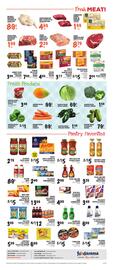 Foodarama Weekly Ad week 5 Page 4