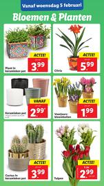 Lidl folder week 6 Pagina 13