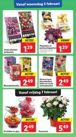 Lidl folder week 6 Pagina 14