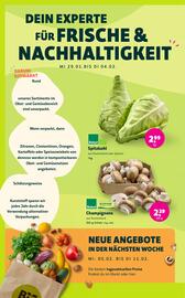 Naturgut Prospekt Seite 4