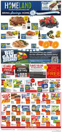 Homeland Market Weekly Ad week 5 Page 1