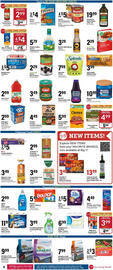 Big Y Weekly Ad week 5 Page 5