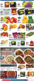 Big Y Weekly Ad week 5 Page 7