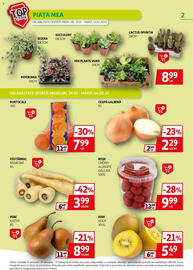 Catalog Auchan Pagină 2