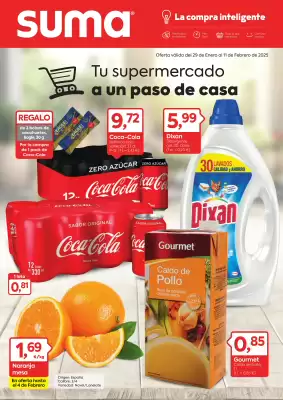 Folleto Suma Supermercados (válido hasta el 11-02)