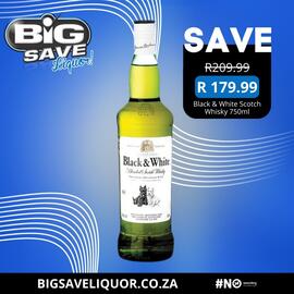 Big Save Liquor catalogue Page 3