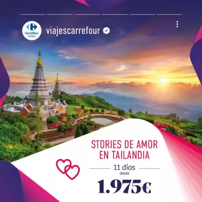 Folleto Carrefour Viajes (válido hasta el 31-01)