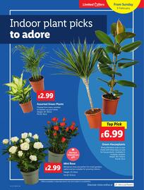 Lidl leaflet week 6 Page 23