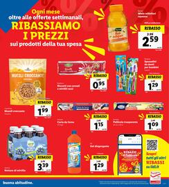 Volantino Lidl settimana 6 Pagina 17