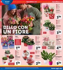 Volantino Lidl settimana 6 Pagina 24