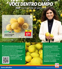 Volantino Lidl settimana 6 Pagina 3