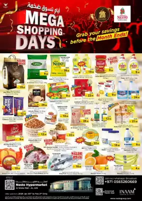 Nesto catalogue (valid until 2-02)