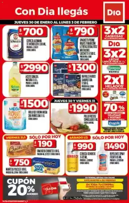 Catálogo Supermercados DIA (válido hasta 3-02)