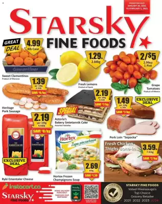 Starsky flyer (valid until 5-02)