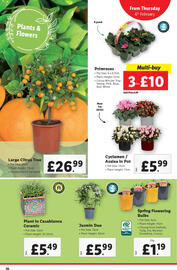 Lidl leaflet week 6 Page 16