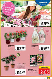 Lidl leaflet week 6 Page 17