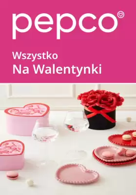 Pepco gazetka (ważność do 14-02)