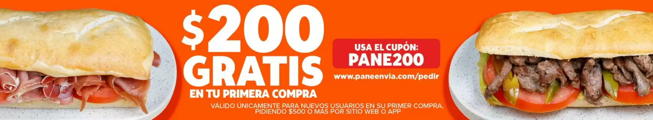 Catálogo Pane en vía (válido hasta 31-03)