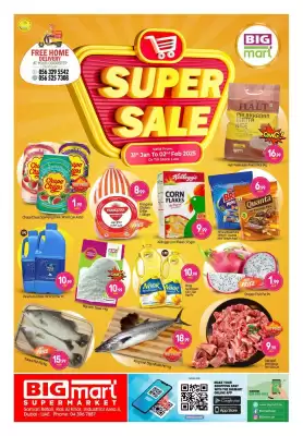 Bigmart catalogue (valid until 2-02)