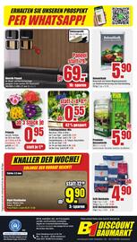 B1 Discount Baumarkt Prospekt woche 5 Seite 6