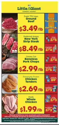 Little Giant Weekly Ad (valid until 4-02)