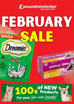 Poundstretcher leaflet (valid until 1-03)