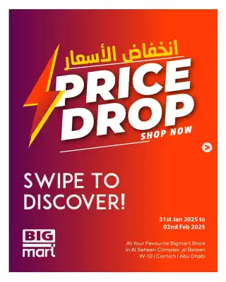 Bigmart catalogue (valid until 2-02)