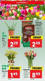 Lidl folder week 6 Pagina 32