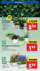 Lidl folder week 6 Pagina 69